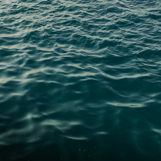 Oceanic mineral absorption